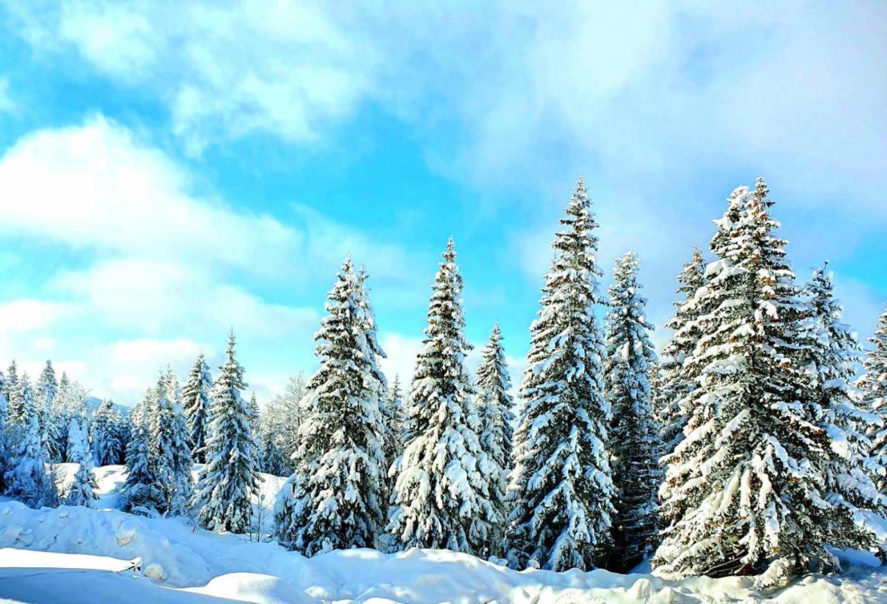 דירות Jahorina 7Lux מראה חיצוני תמונה