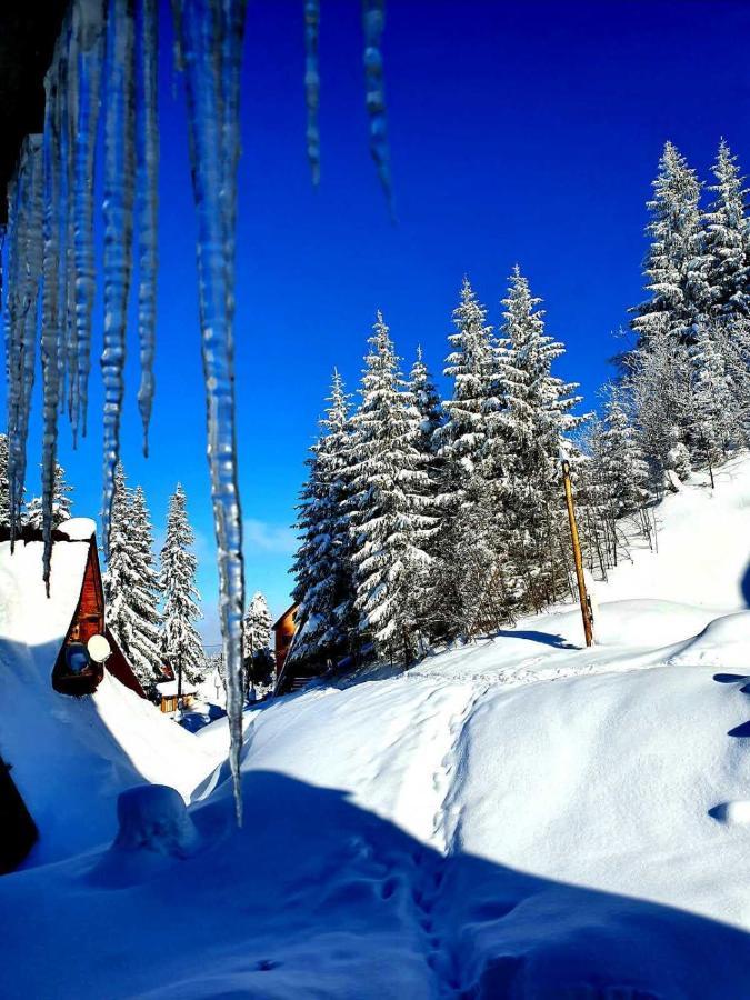 דירות Jahorina 7Lux מראה חיצוני תמונה